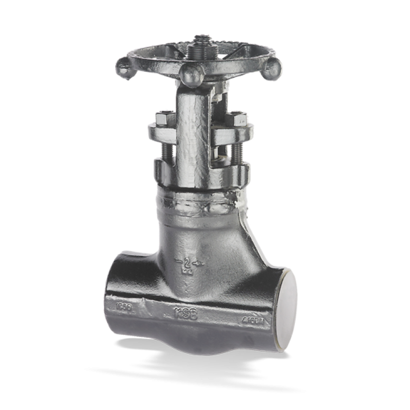 Globe valve sicca 800-4500 GLF